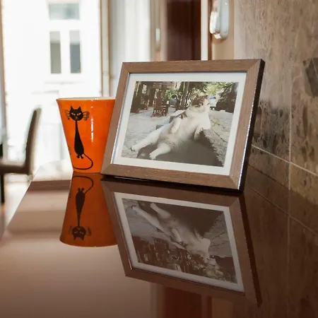 Katrin Apartment Budapest Exterior photo